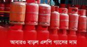 এলপিজি গ্যাসের দাম আরও কমলো, ১২ কেজির সিলিন্ডার ১,৪৩১ টাকা