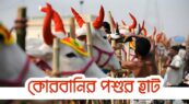 আফতাবনগরে কোরবানির পশুর হাট বসানো যাবে না : হাইকোর্ট
