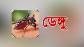 ডেঙ্গুতে আরও ৬ জনের মৃত্যু, হাসপাতালে নতুন ভর্তি ১ হাজার ৪৯২
