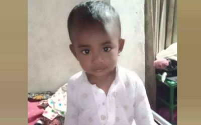 কিশোরগঞ্জে বাড়ির উঠান থেকে শিশুকে তুলে নিয়ে গেল শিয়াল
