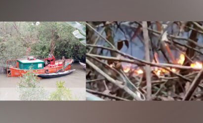 সুন্দরবনে আবারও আগুন, বনভূমি জ্বলছে,  নেভাতে বেগ
