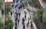 দেশে ৩৮৬ কিশোর গ্যাং, সদস্য সোয়া ৪ হাজারের বেশি