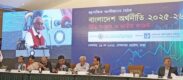 রাজনীতিবিদরা পালিয়েছেন, আমলারা শক্তি নিয়ে পুনরুজ্জীবিত: দেবপ্রিয় ভট্টাচার্য