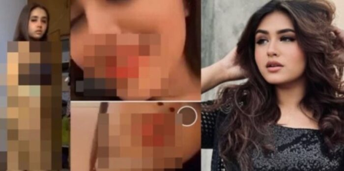 আবারও ব্যক্তিগত ভিডিও ফাঁস, বিতর্কে পাকিস্তানি টিকটকার