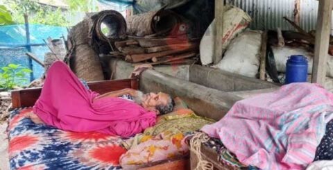 সন্তানদের জমি লিখে দিয়েও ঠাঁই হয়নি পাকা ঘরে, বাবা-মা গোয়ালঘরে
