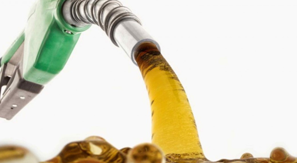 বিশ্বের প্রথম দেশ হিসেবে জ্বালানি ফুরানোর ঝুঁকি বাংলাদেশে: দ্য  ইন্ডিপেন্ডেন্ট | সারাদিন