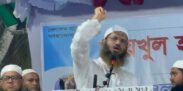 যেই ক্ষমতায় যায়, সেই হাসিনা হতে চায়: মামুনুল হক